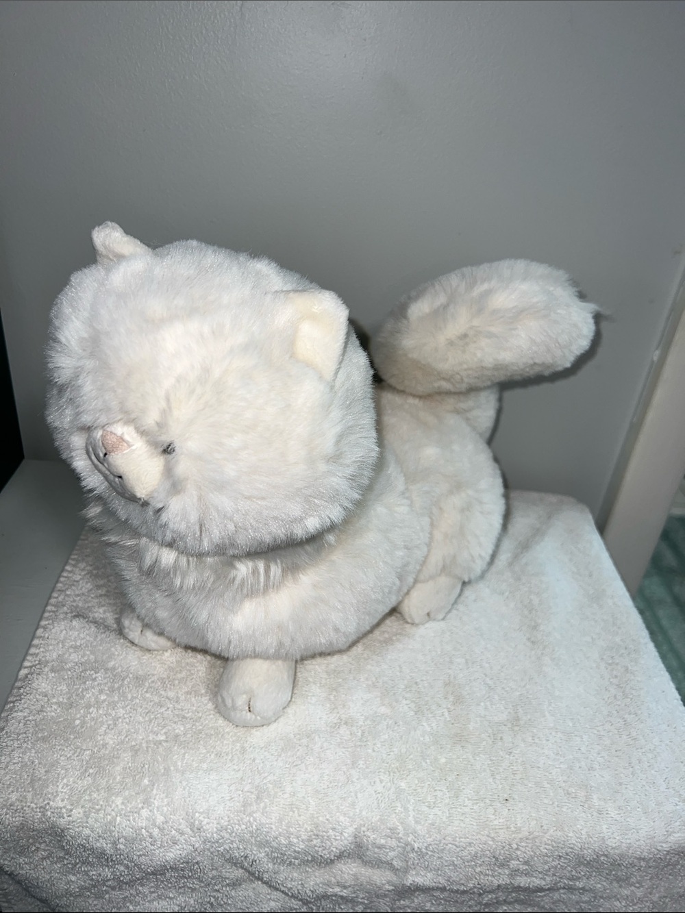 Jellycat i am Carissa Persian cat (retired) - Picture 6 of 9